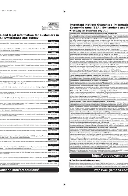yamaha雅马哈YH-WL500 Energy Efficiency Information